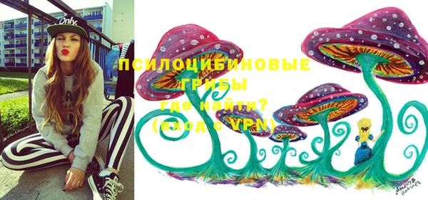 дурь Россошь