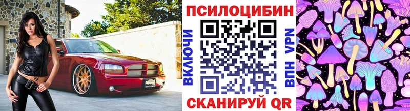 где найти наркотики  Кущёвская  Псилоцибиновые грибы Psilocybe 